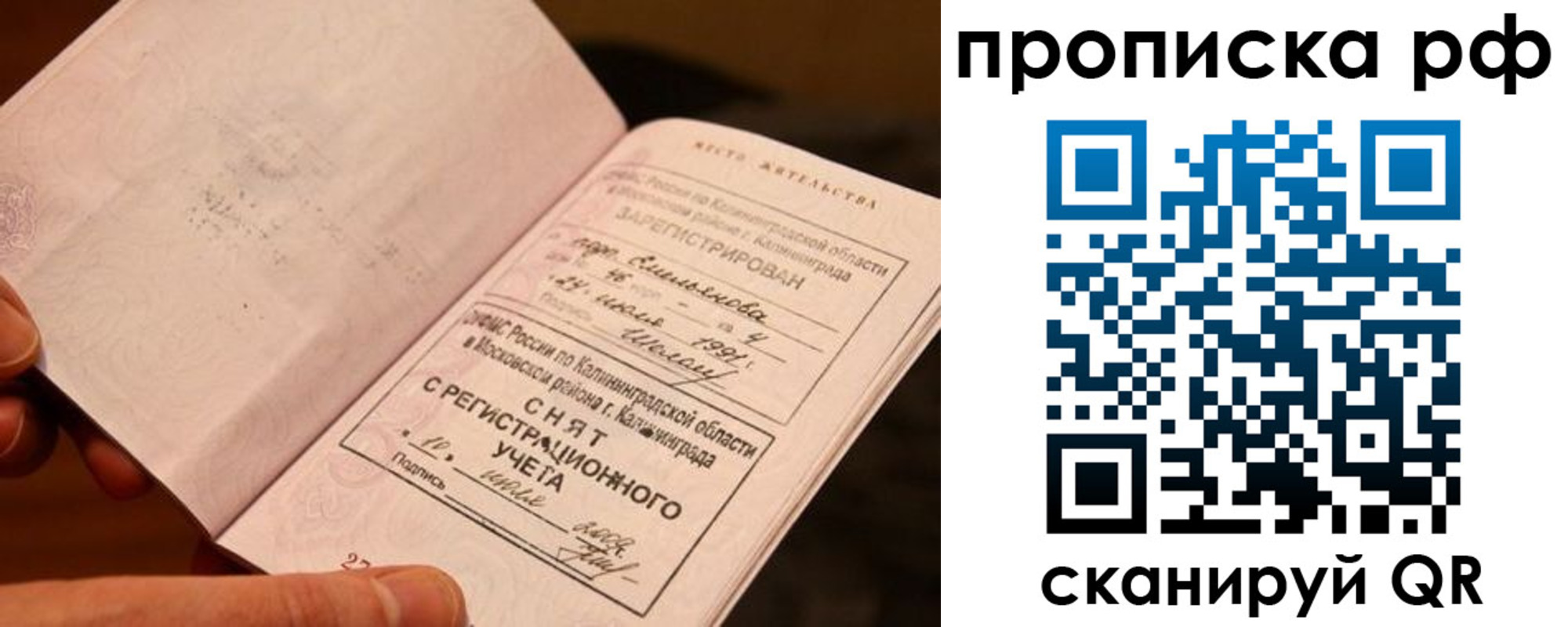 прописка гарантия в Дорогобуже